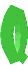 81.JPG