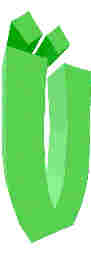 252.JPG