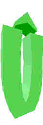 251.JPG