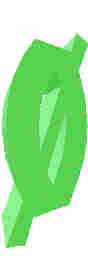 248.JPG