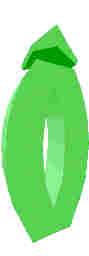 244.JPG
