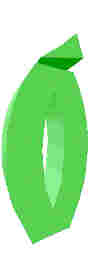 243.JPG