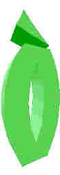 242.JPG