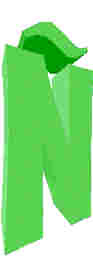 241.JPG