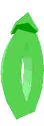 212.JPG