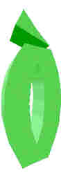 210.JPG