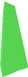 49.JPG