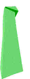 237.JPG