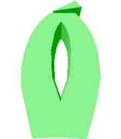 243.JPG