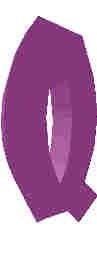 81.JPG