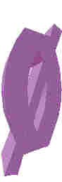 248.JPG