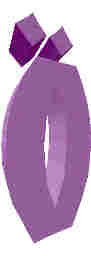 246.JPG
