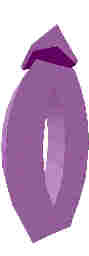 244.JPG