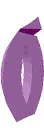 243.JPG