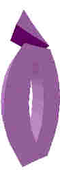 242.JPG