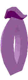 213.JPG