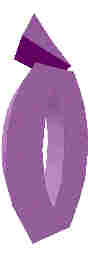 210.JPG