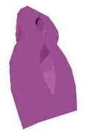 56.JPG