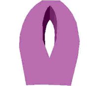 79.JPG
