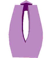 251.JPG