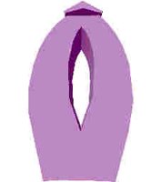 244.JPG