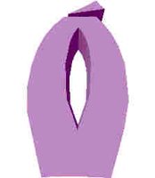 243.JPG