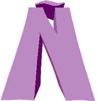 241.JPG