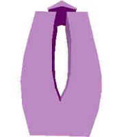 219.JPG