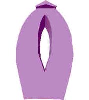 212.JPG