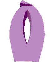 210.JPG