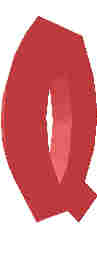 81.JPG