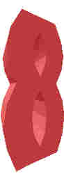 56.JPG