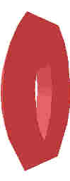 48.JPG