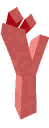 255.JPG