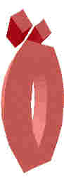 246.JPG