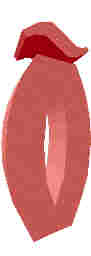 245.JPG