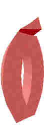 243.JPG