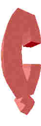 231.JPG