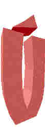 218.JPG