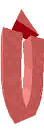 217.JPG