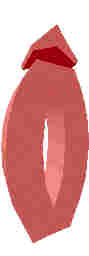 212.JPG