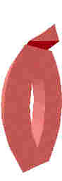 211.JPG