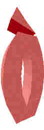 210.JPG