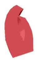 54.JPG