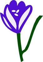 FLOWER19.WMF