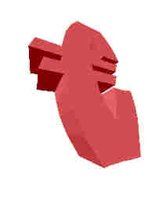 128.JPG