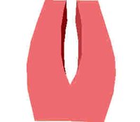 85.JPG