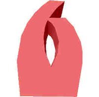 54.JPG