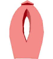 244.JPG
