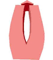 219.JPG